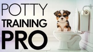 Read more about the article Expert Advice: Mastering Puppy Potty Training in No Time