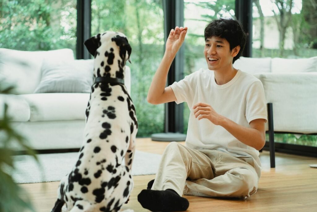 Man in light room training a Dalmatian dog with treat, surrounded by nature.